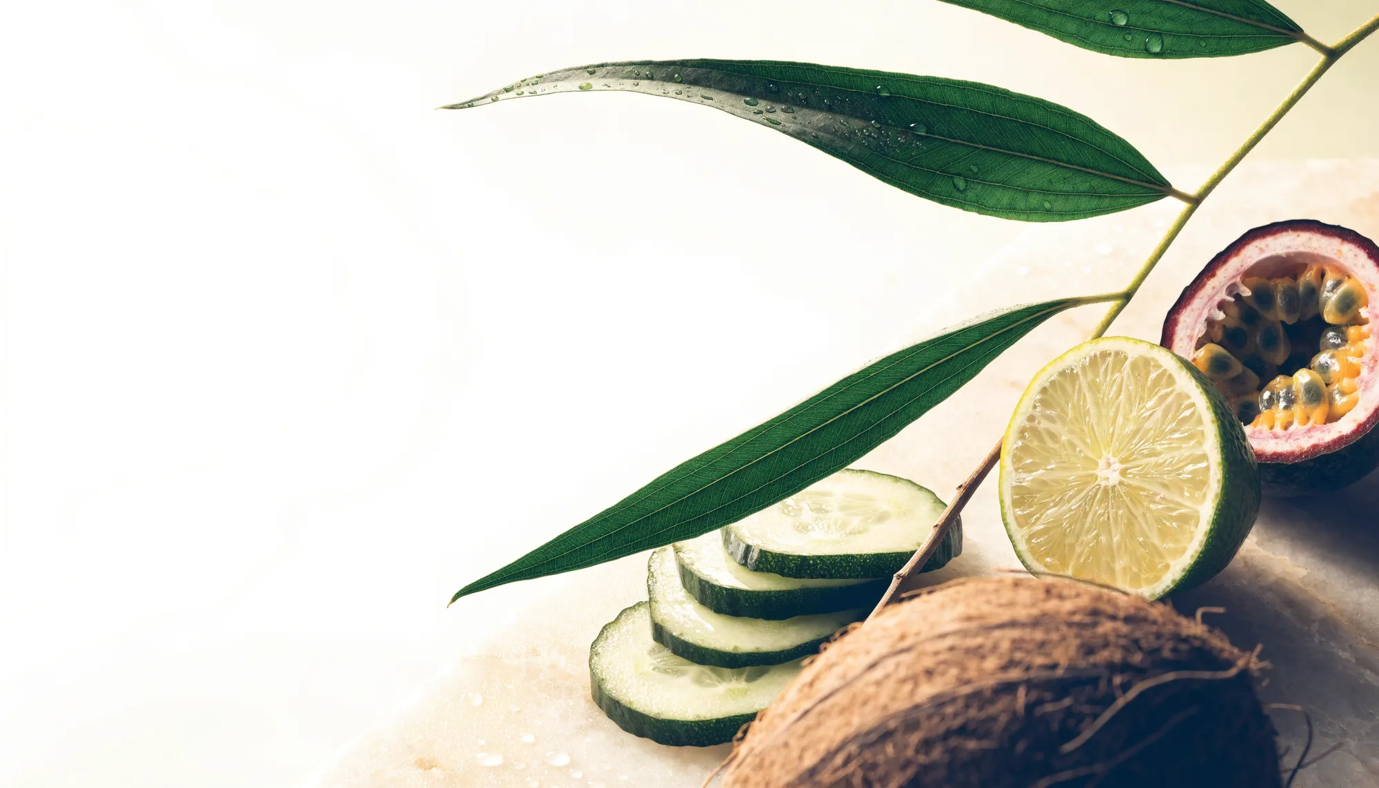 Cucumber, citrus, coconut and tropical botanicals in natural light